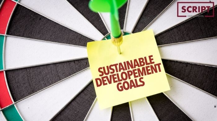 What Are UN SDG Goals