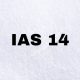IAS 14 - Segment Reporting